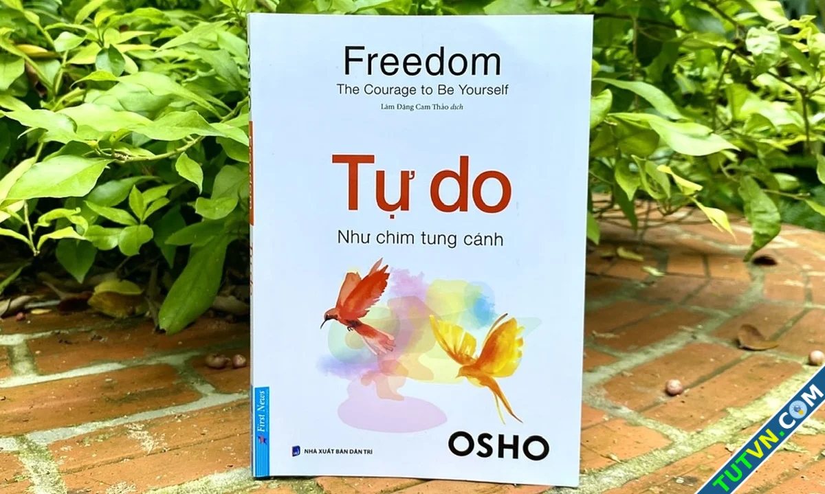 Tự do qua góc nhìn của Osho-1.webp