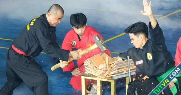 Tự hào tinh hoa võ Việt tại Liên hoan quốc tế Võ cổ truyền TPHCM-1.webp