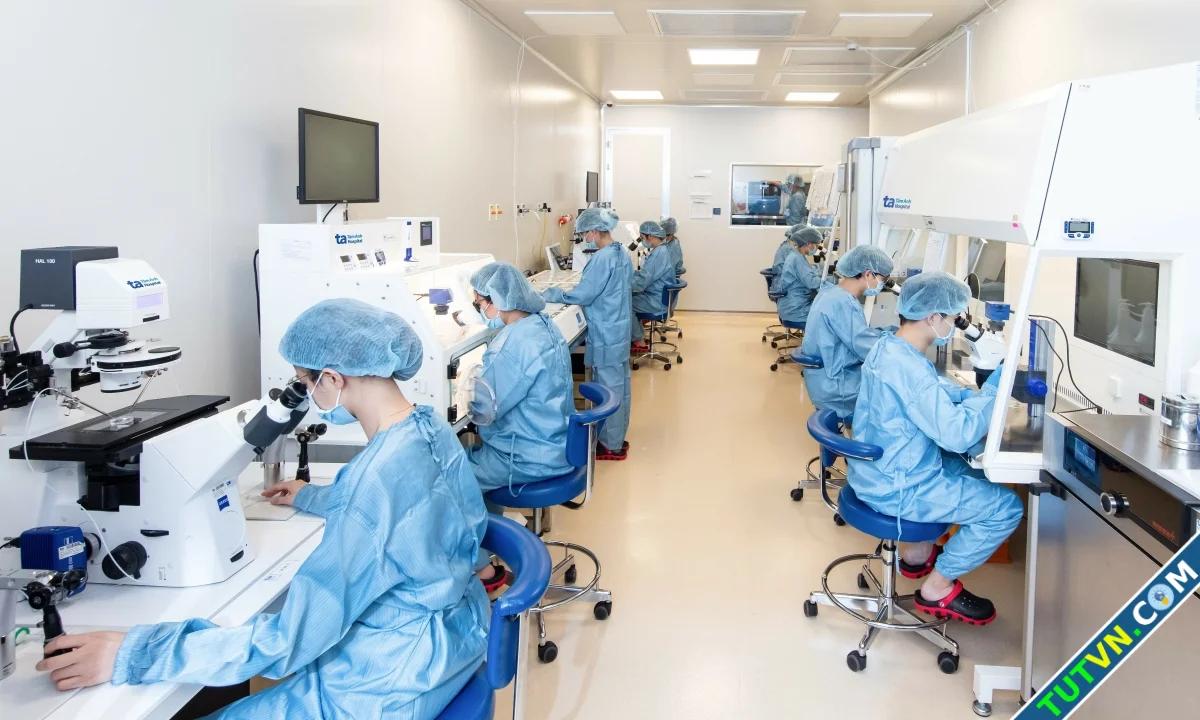 Từ Mỹ về Việt Nam thụ tinh ống nghiệm-1.webp