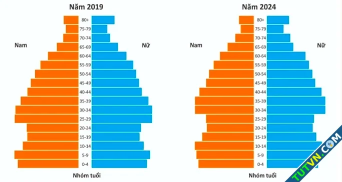 Việt Nam đối mặt chưa giàu đã già-1.webp