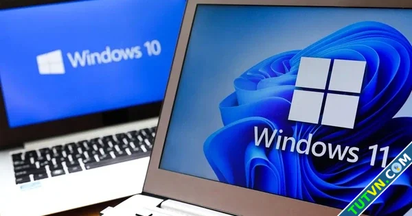 Windows 11 chính thức vượt mặt Windows 10-1.webp
