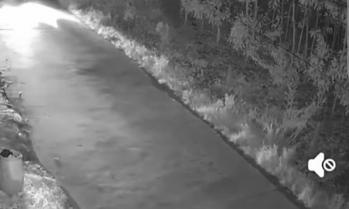 Xe máy lao vào đầu ôtô trong đêm-1.gif